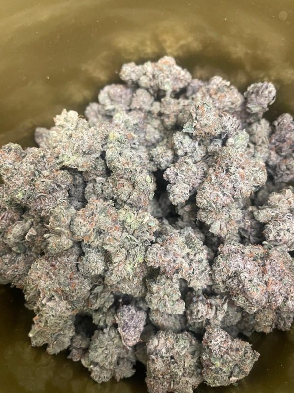 Astro Pink AAAA++⭐ HP