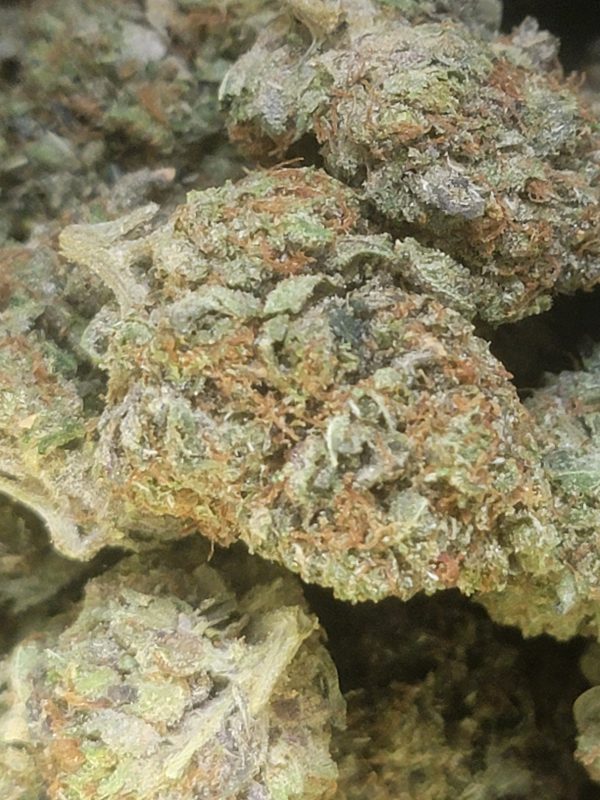 Mimosa 14G AAAA+