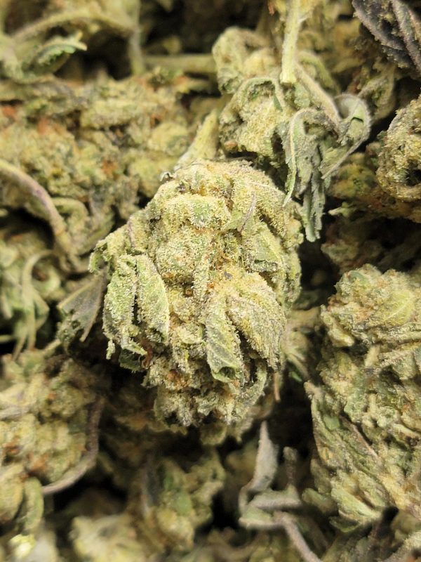Bubba kush AAA