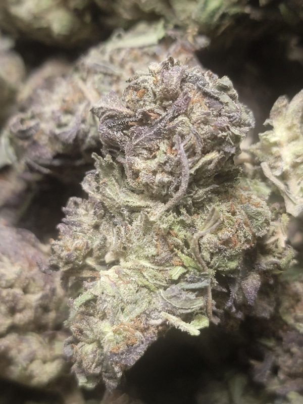 Purple Kush AAA 28G