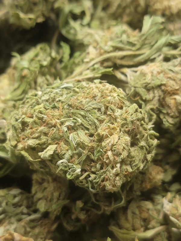 Sour Haze AA+ HP (House Special)