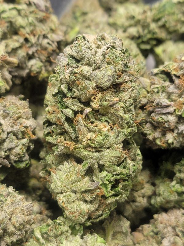 Critical Kush AAAA+ 28G