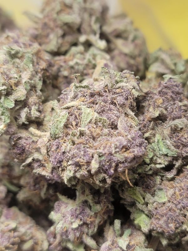 Purple Punch AAA+