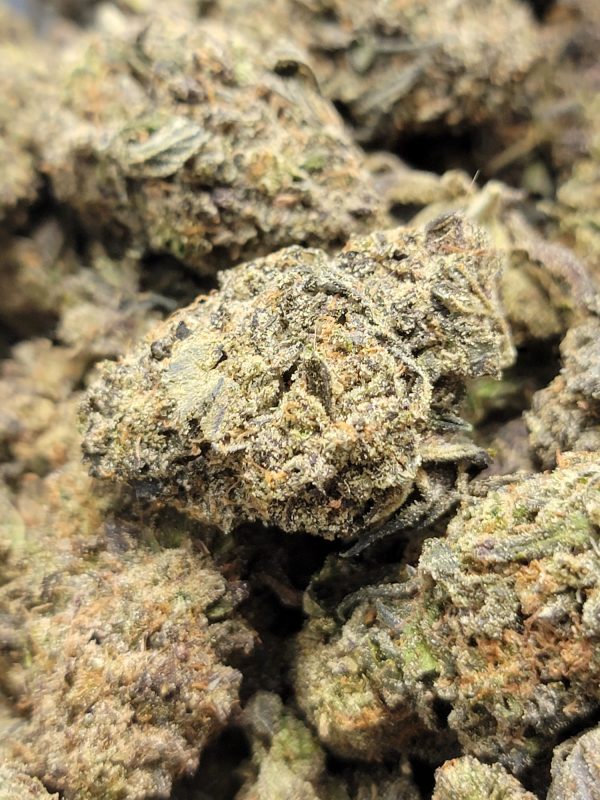 Gelato Glue AAA 28G