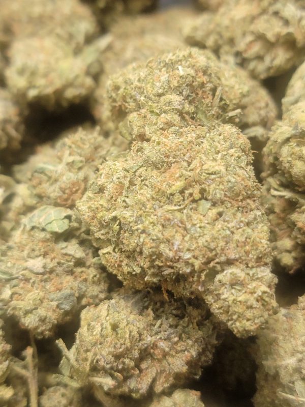 Tangerine AAA 28G